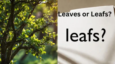 Leaves or Leafs