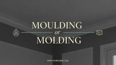 Moulding or Molding