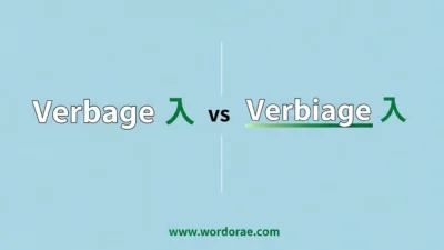 Verbage or Verbiage