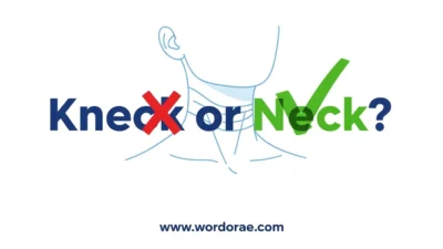 Kneck or Neck