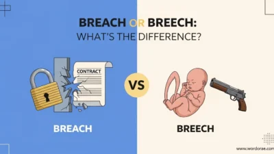 Breach or Breech